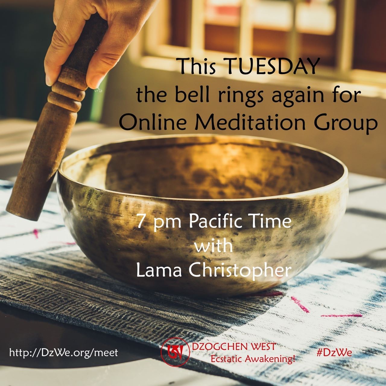 Online Meditation Group this TUESDAY